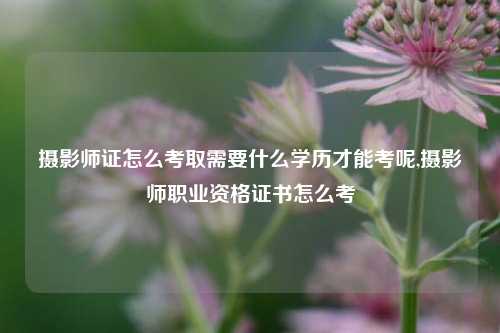 摄影师证怎么考取需要什么学历才能考呢,摄影师职业资格证书怎么考