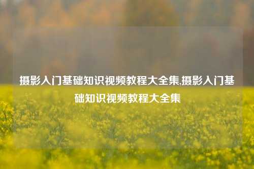 摄影入门基础知识视频教程大全集,摄影入门基础知识视频教程大全集