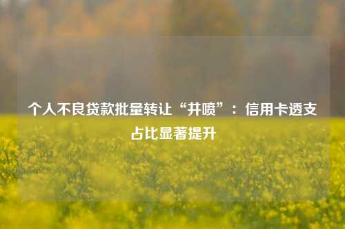 个人不良贷款批量转让“井喷”：信用卡透支占比显著提升