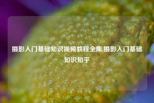 摄影入门基础知识视频教程全集,摄影入门基础知识知乎