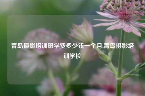 青岛摄影培训班学费多少钱一个月,青岛摄影培训学校