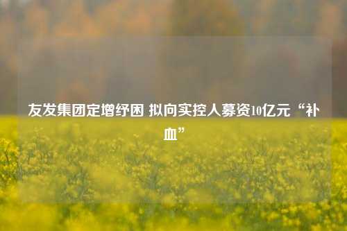 友发集团定增纾困 拟向实控人募资10亿元“补血”