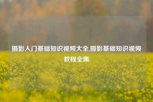 摄影入门基础知识视频大全,摄影基础知识视频教程全集