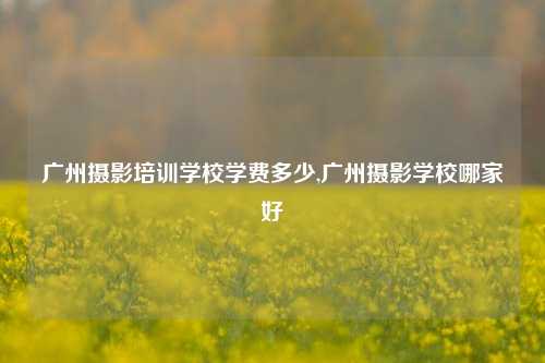 广州摄影培训学校学费多少,广州摄影学校哪家好