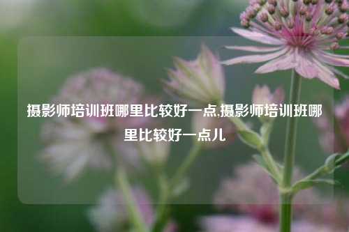 摄影师培训班哪里比较好一点,摄影师培训班哪里比较好一点儿