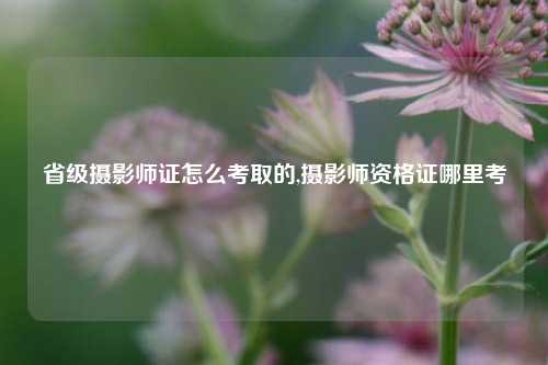 省级摄影师证怎么考取的,摄影师资格证哪里考