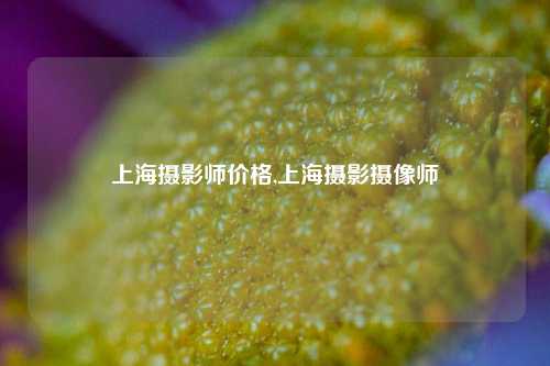 上海摄影师价格,上海摄影摄像师