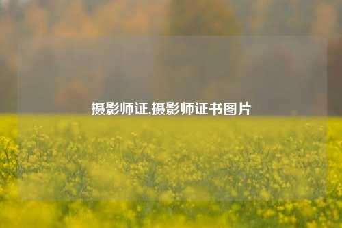 摄影师证,摄影师证书图片