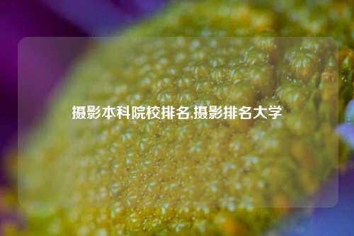 摄影本科院校排名,摄影排名大学