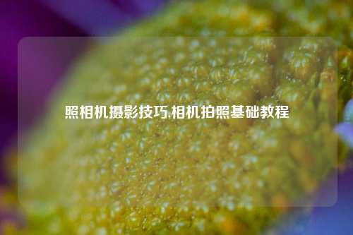 照相机摄影技巧,相机拍照基础教程