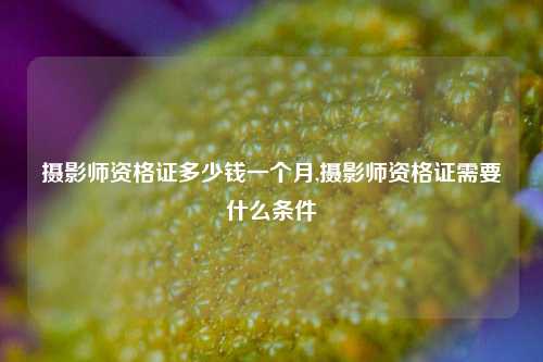 摄影师资格证多少钱一个月,摄影师资格证需要什么条件