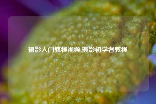 摄影入门教程视频,摄影初学者教程