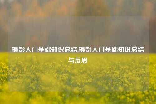 摄影入门基础知识总结,摄影入门基础知识总结与反思