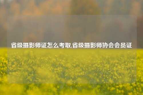 省级摄影师证怎么考取,省级摄影师协会会员证