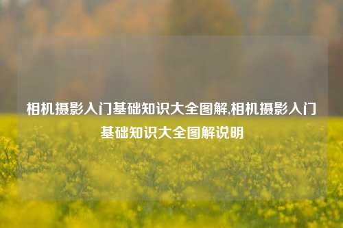 相机摄影入门基础知识大全图解,相机摄影入门基础知识大全图解说明