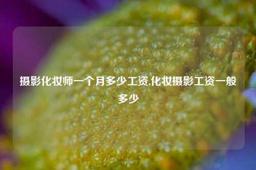 摄影化妆师一个月多少工资,化妆摄影工资一般多少