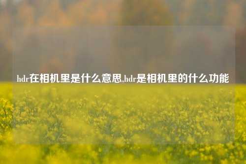 hdr在相机里是什么意思,hdr是相机里的什么功能