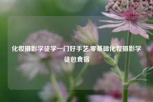 化妆摄影学徒学一门好手艺,零基础化妆摄影学徒包食宿