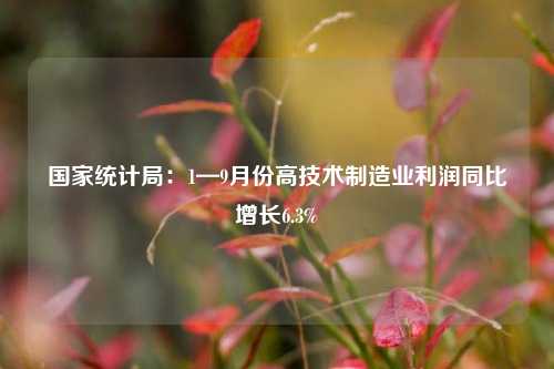 国家统计局：1—9月份高技术制造业利润同比增长6.3%