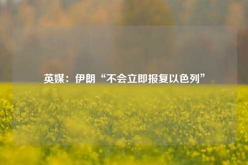 英媒：伊朗“不会立即报复以色列”