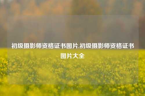 初级摄影师资格证书图片,初级摄影师资格证书图片大全