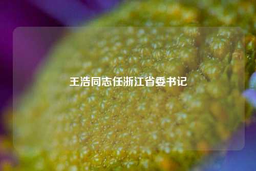 王浩同志任浙江省委书记