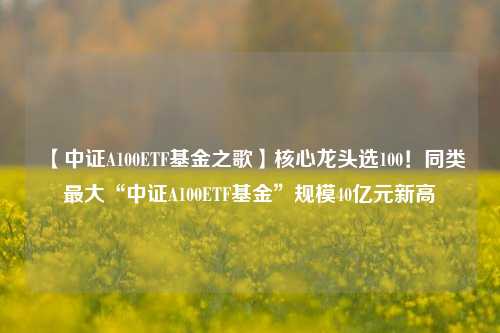 【中证A100ETF基金之歌】核心龙头选100！同类最大“中证A100ETF基金”规模40亿元新高