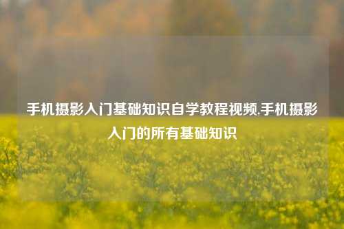 手机摄影入门基础知识自学教程视频,手机摄影入门的所有基础知识