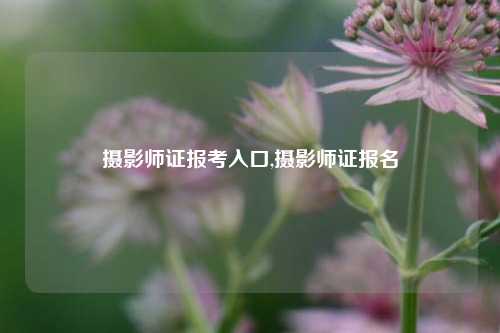 摄影师证报考入口,摄影师证报名