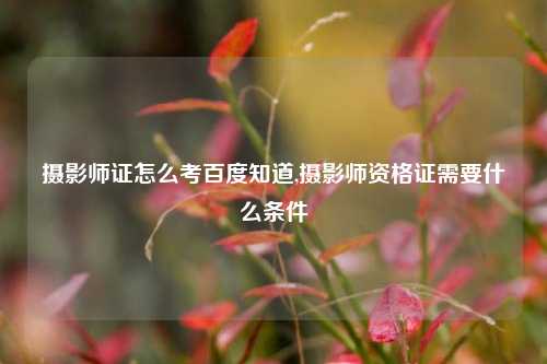 摄影师证怎么考百度知道,摄影师资格证需要什么条件