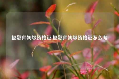 摄影师初级资格证,摄影师初级资格证怎么考