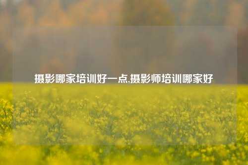 摄影哪家培训好一点,摄影师培训哪家好