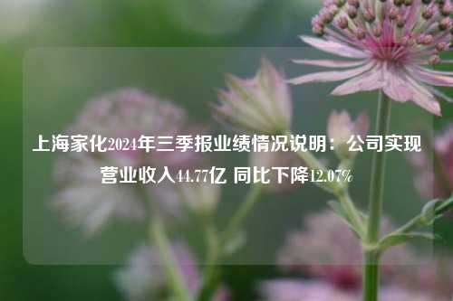 上海家化2024年三季报业绩情况说明：公司实现营业收入44.77亿 同比下降12.07%