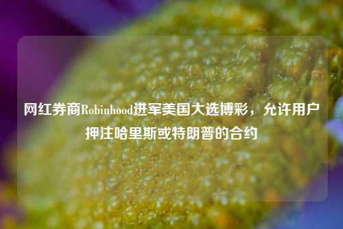 网红券商Robinhood进军美国大选博彩，允许用户押注哈里斯或特朗普的合约