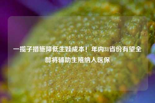 一揽子措施降低生娃成本！年内31省份有望全部将辅助生殖纳入医保