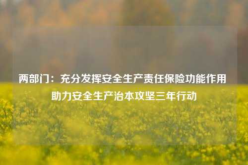 两部门：充分发挥安全生产责任保险功能作用 助力安全生产治本攻坚三年行动