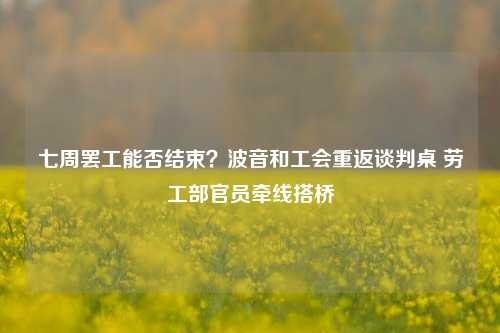 七周罢工能否结束？波音和工会重返谈判桌 劳工部官员牵线搭桥