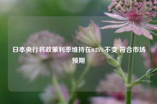 日本央行将政策利率维持在0.25%不变 符合市场预期