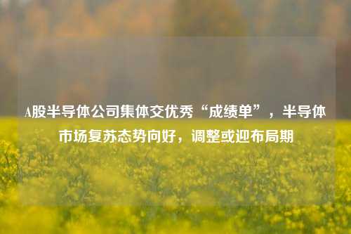 A股半导体公司集体交优秀“成绩单”，半导体市场复苏态势向好，调整或迎布局期