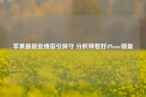 苹果最新业绩指引保守 分析师看好iPhone销量