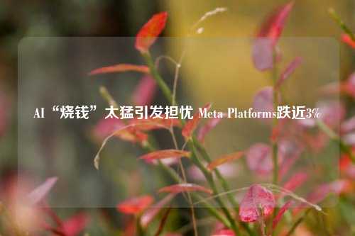 AI“烧钱”太猛引发担忧 Meta Platforms跌近3%