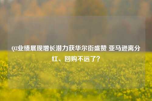 Q3业绩展现增长潜力获华尔街盛赞 亚马逊离分红、回购不远了？