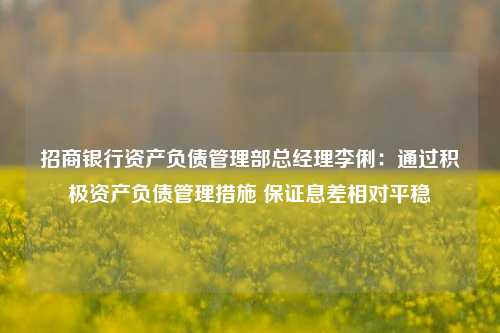 招商银行资产负债管理部总经理李俐：通过积极资产负债管理措施 保证息差相对平稳