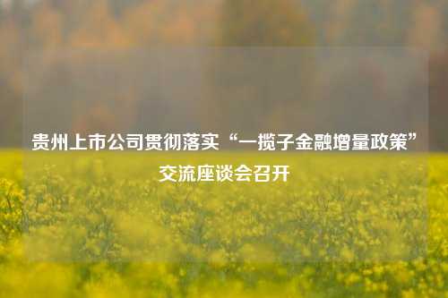 贵州上市公司贯彻落实“一揽子金融增量政策”交流座谈会召开