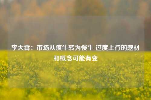 李大霄：市场从疯牛转为慢牛 过度上行的题材和概念可能有变