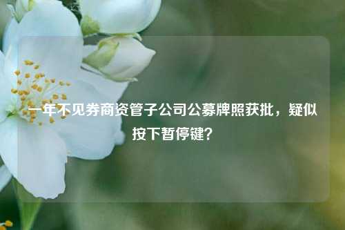 一年不见券商资管子公司公募牌照获批，疑似按下暂停键？