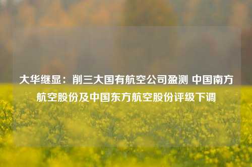 大华继显：削三大国有航空公司盈测 中国南方航空股份及中国东方航空股份评级下调