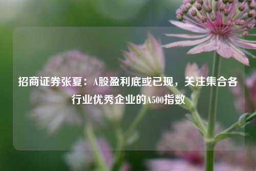 招商证券张夏：A股盈利底或已现，关注集合各行业优秀企业的A500指数