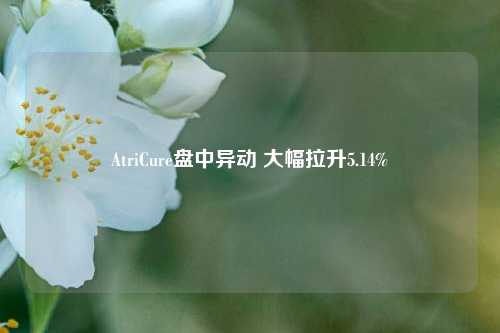 AtriCure盘中异动 大幅拉升5.14%