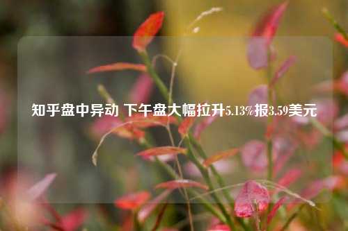 知乎盘中异动 下午盘大幅拉升5.13%报3.59美元